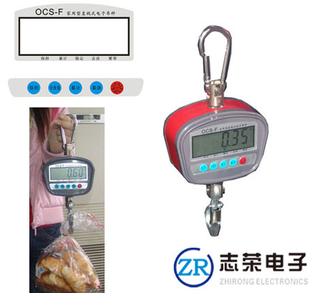 友聲電子吊秤_供應上海友聲電子吊秤價格/技術參數(shù)